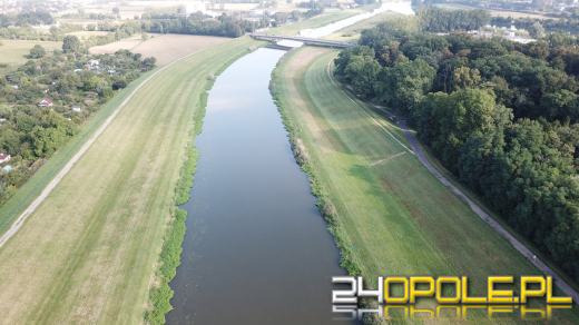 Odra i Kanał Ulgi zazieleniły się