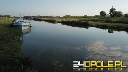 Odra i Kanał Ulgi zazieleniły się