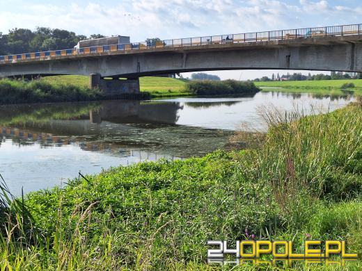 Odra i Kanał Ulgi zazieleniły się