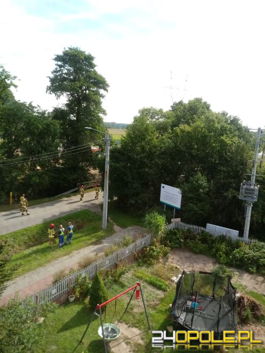 Ulatniający się gaz między Sadami, a Niemodlinem