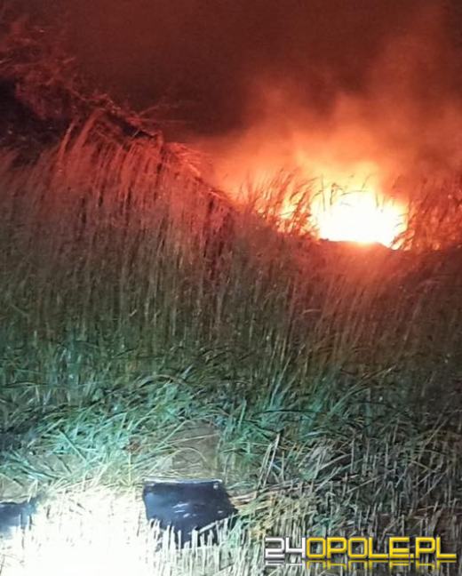 Pożar turbiny wiatrowej w powiecie kędzierzyńsko-kozielskim