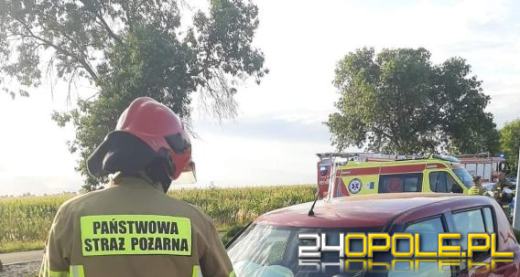 Tragiczny wypadek pod Niemodlinem. Nie żyje 23-latek