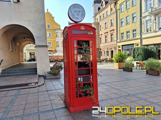 Londyński akcent opolskiego rynku nową "donicą" na kwiaty