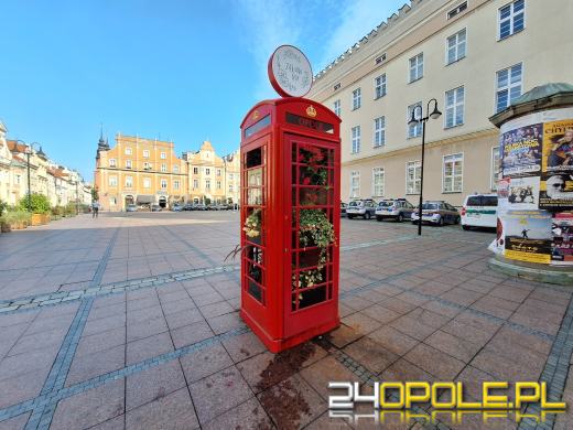 Londyński akcent opolskiego rynku nową "donicą" na kwiaty