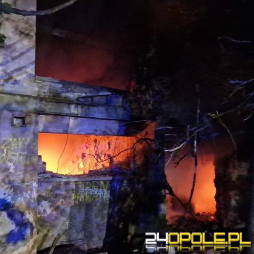 Nocna akcja strażaków w Kędzierzynie-Koźlu. Płonął pustostan