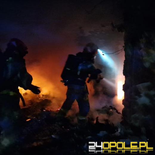 Nocna akcja strażaków w Kędzierzynie-Koźlu. Płonął pustostan