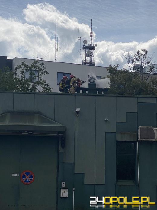 Akcja strażaków przy ulicy Żwirki i Wigury w Opolu
