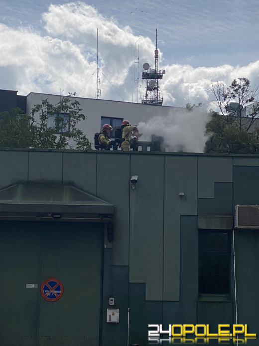Akcja strażaków przy ulicy Żwirki i Wigury w Opolu
