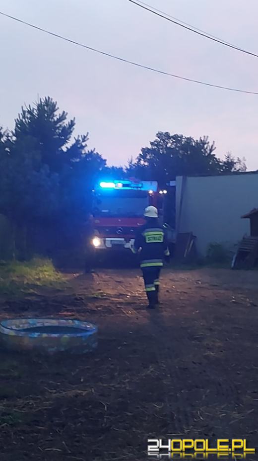 Pomocy potrzebował...koń. Niezawodni strażacy ruszyli do akcji