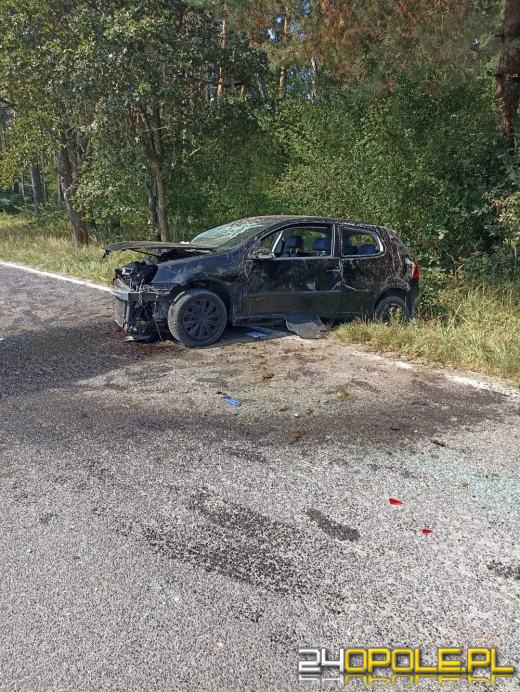 Chróścina: Kierowca ranny po tym, jak wjechał do rowu