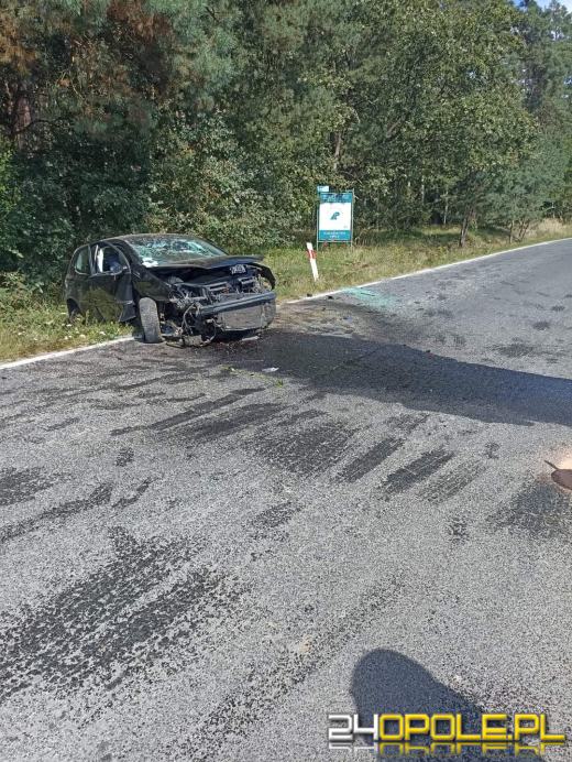 Chróścina: Kierowca ranny po tym, jak wjechał do rowu