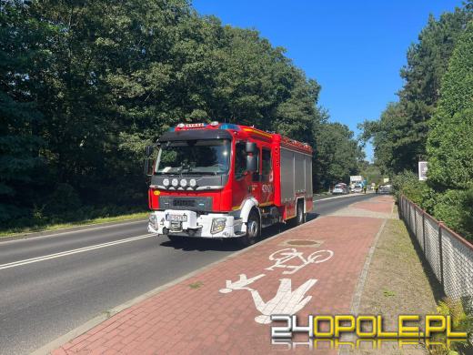 Potrącenie rowerzystki na pasach. Lądował śmigłowiec LPR