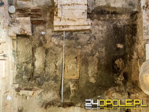 Można zobaczyć miejsce pracy archeologów. Katedra otwarta dziś dla zwiedzających