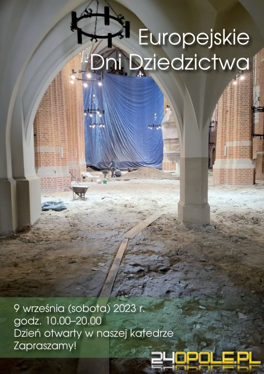 Można zobaczyć miejsce pracy archeologów. Katedra otwarta dziś dla zwiedzających