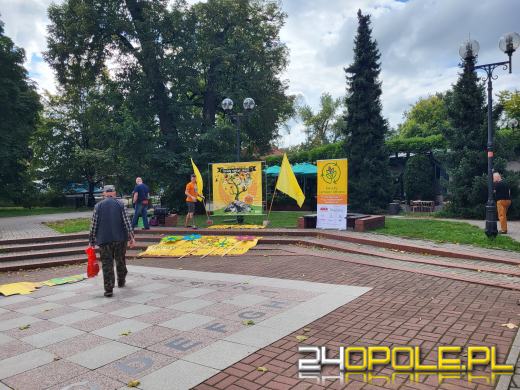 Kwiaty zamiast śmieci - Fundacja Arka edukuje i rozdaje nasiona