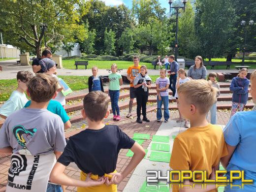 Kwiaty zamiast śmieci - Fundacja Arka edukuje i rozdaje nasiona