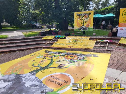 Kwiaty zamiast śmieci - Fundacja Arka edukuje i rozdaje nasiona