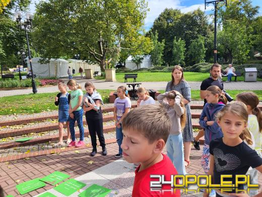 Kwiaty zamiast śmieci - Fundacja Arka edukuje i rozdaje nasiona