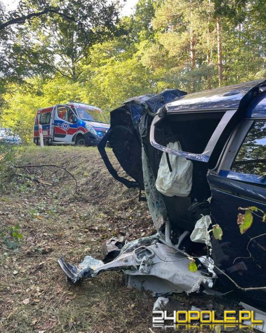 Dachowanie na DW 408. Lądował LPR