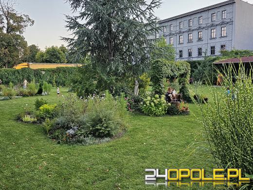 23. Jarmark Franciszkański. Regionalne specjały, koncerty, atrakcje dla najmłodszych 