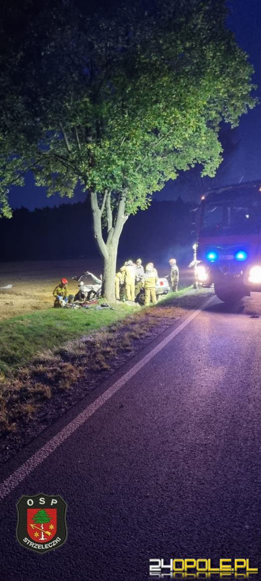 Jedna osoba ranna w wypadku w gminie Strzeleczki