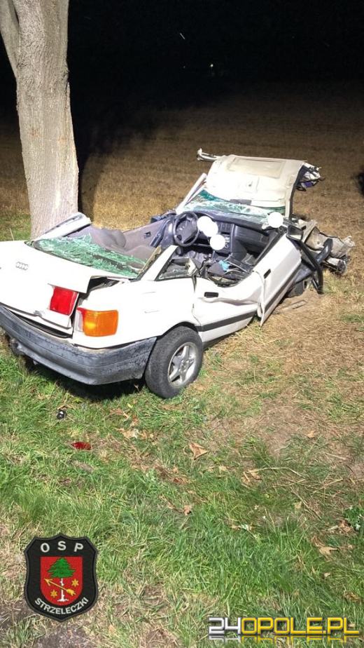 Jedna osoba ranna w wypadku w gminie Strzeleczki