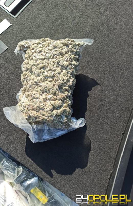 Podejrzani o przemyt narkotyków zatrzymani