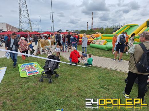 Opolskie autobusy i zajezdnia "od kuchni". Trwa dzień otwarty