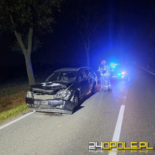 Zderzenie samochodu osobowego z łanią jelenia