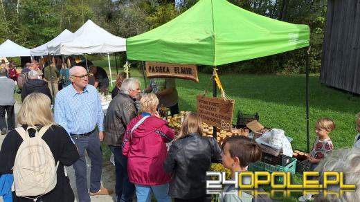 Trwają Targi Miodów i Rękodzieła w opolskim skansenie