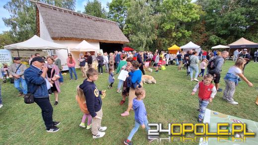 Trwają Targi Miodów i Rękodzieła w opolskim skansenie