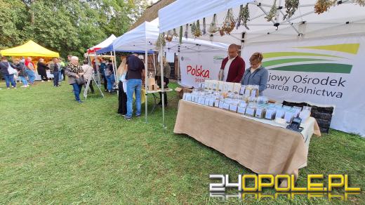 Trwają Targi Miodów i Rękodzieła w opolskim skansenie