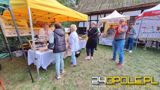 Trwają Targi Miodów i Rękodzieła w opolskim skansenie
