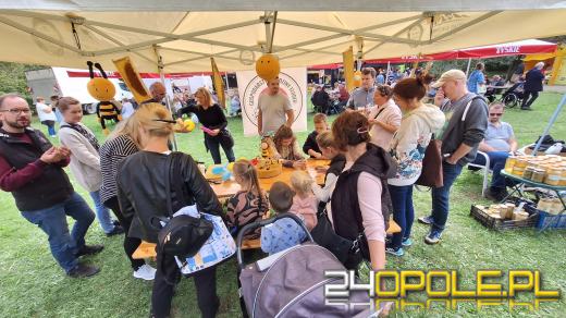 Trwają Targi Miodów i Rękodzieła w opolskim skansenie