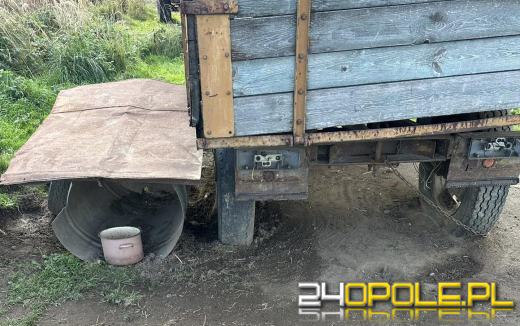 Spał w beczce przypięty do łańcucha. Jak tak można traktować zwierzę?!