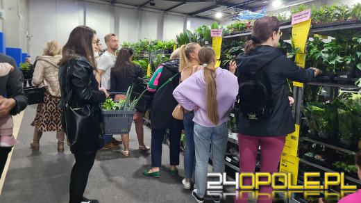 Trwa Festiwal Roślin. Tłumy w Toyota Parku!