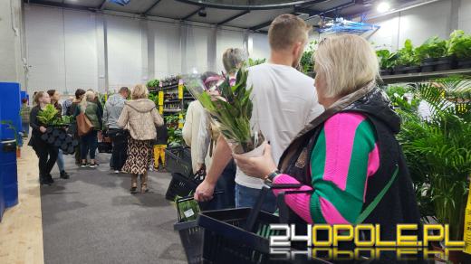 Trwa Festiwal Roślin. Tłumy w Toyota Parku!