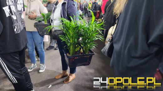 Trwa Festiwal Roślin. Tłumy w Toyota Parku!
