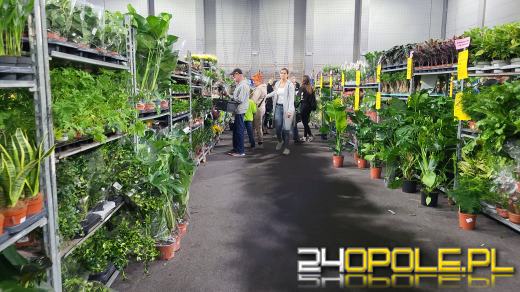 Trwa Festiwal Roślin. Tłumy w Toyota Parku!