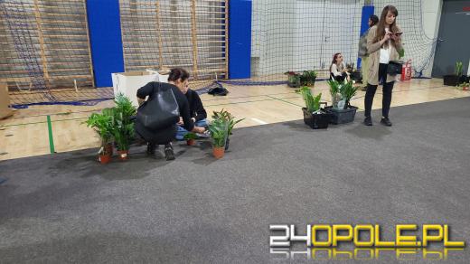 Trwa Festiwal Roślin. Tłumy w Toyota Parku!