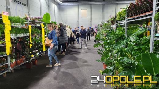 Trwa Festiwal Roślin. Tłumy w Toyota Parku!