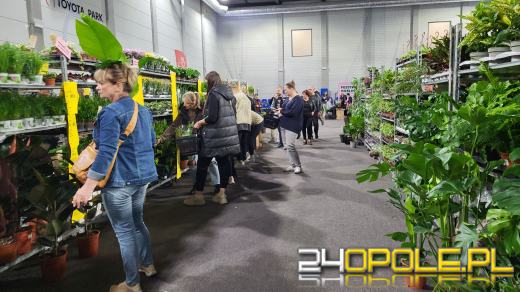 Trwa Festiwal Roślin. Tłumy w Toyota Parku!