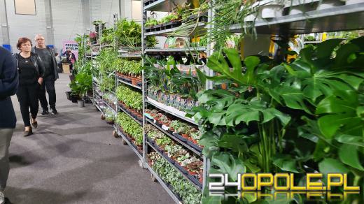 Trwa Festiwal Roślin. Tłumy w Toyota Parku!