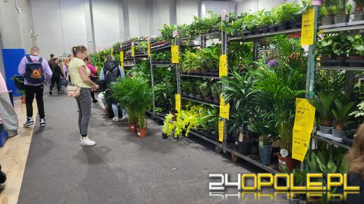 Trwa Festiwal Roślin. Tłumy w Toyota Parku!