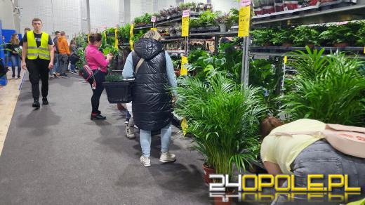 Trwa Festiwal Roślin. Tłumy w Toyota Parku!