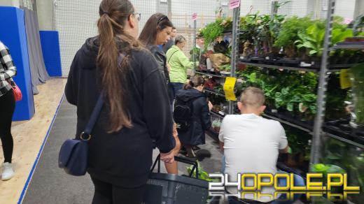 Trwa Festiwal Roślin. Tłumy w Toyota Parku!