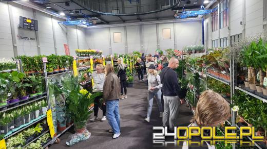 Trwa Festiwal Roślin. Tłumy w Toyota Parku!