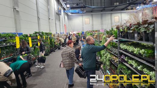 Trwa Festiwal Roślin. Tłumy w Toyota Parku!