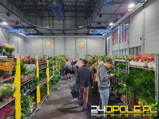 Trwa Festiwal Roślin. Tłumy w Toyota Parku!