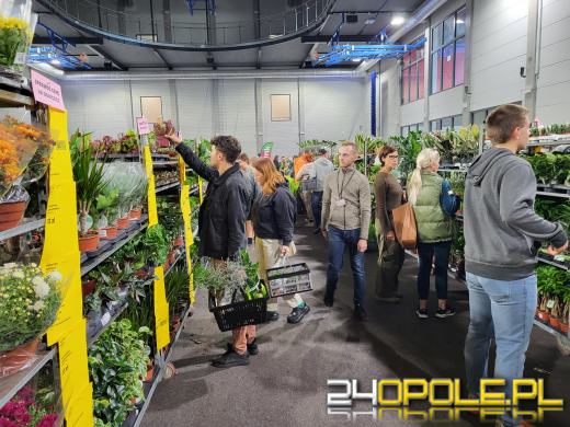 Trwa Festiwal Roślin. Tłumy w Toyota Parku!